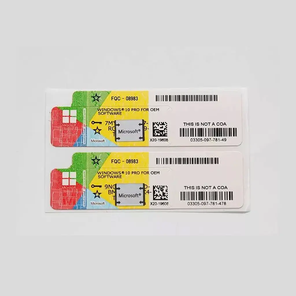 Microsoft Windows 10 Professional OEM Key